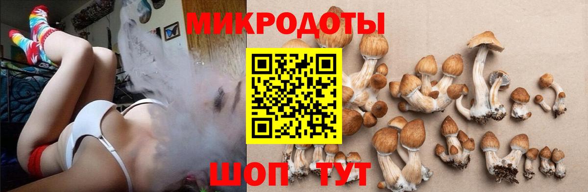 Галлюциногенные грибы Cubensis  где найти наркотики  Вход с VPN  Солнечногорск  Галлюциногенные грибы Psilocybe 